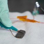 Niezniszczalne ekrany smartfona
